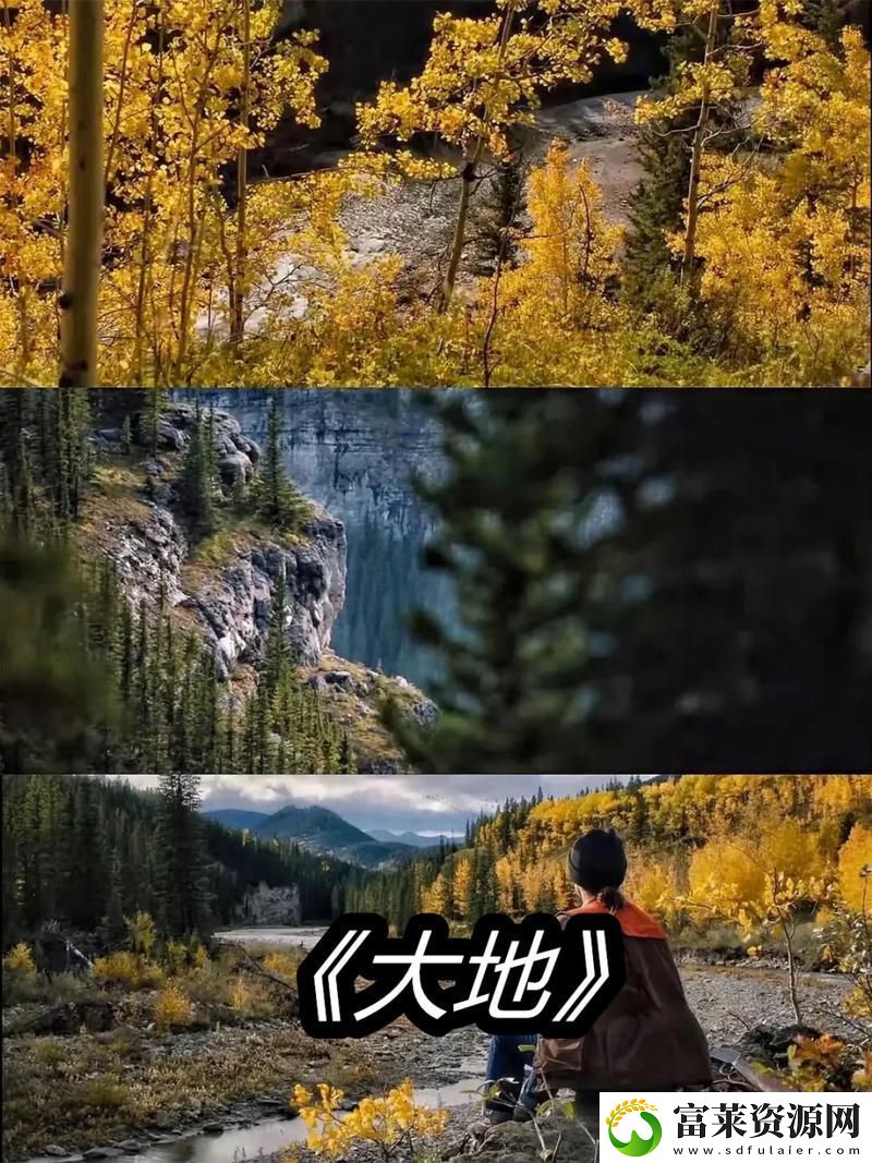 大地资源二高清在线观看播放