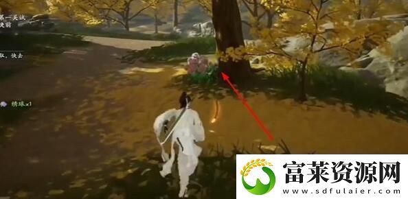 射雕绣球八仙在哪里