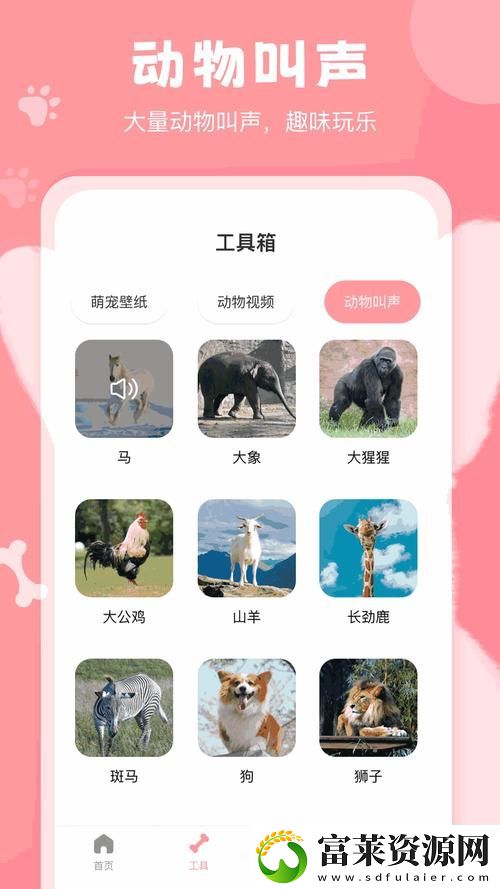 大象W灬源码1688