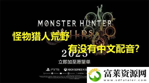 怪物猎人荒野中是否也提供了中文配音选项呢