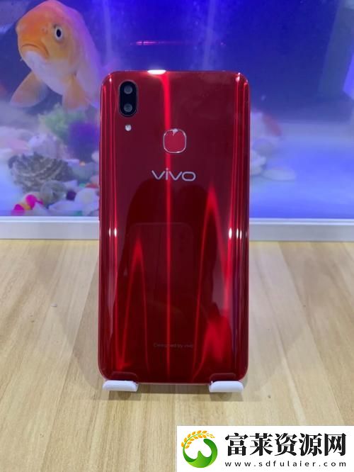 深入探索“欧美性VIVOX21欧美”背后的文化与科技