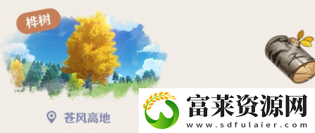 原神桦木在哪儿里