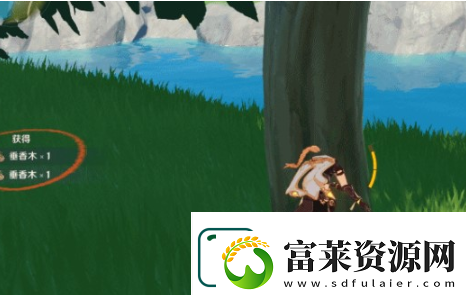 原神桦木在哪儿里