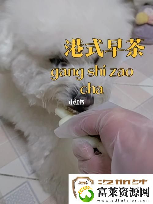 揭秘“狗和人胶配方20分钟”