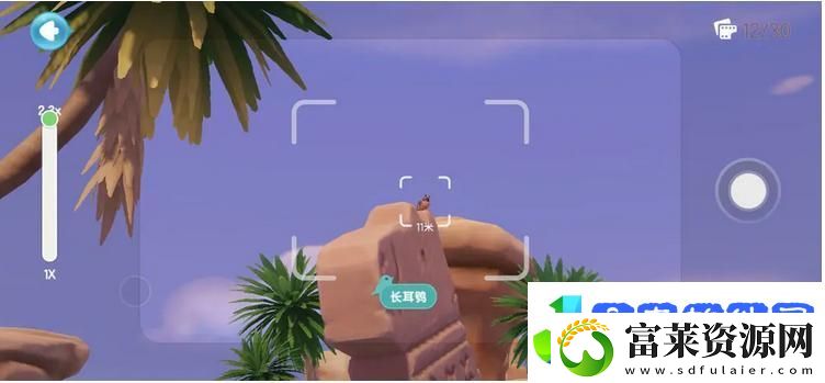 心动小镇鸟类观察图鉴大全