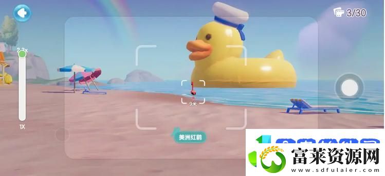 心动小镇鸟类观察图鉴大全