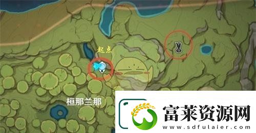原神须弥梦之树怎么开