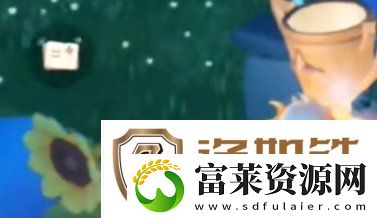 光遇运动会奖励兑换在什么位置