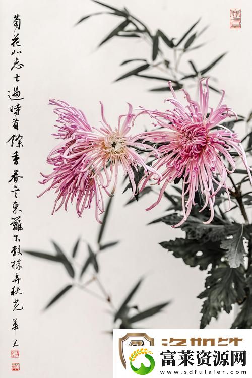 国产做受入口竹菊
