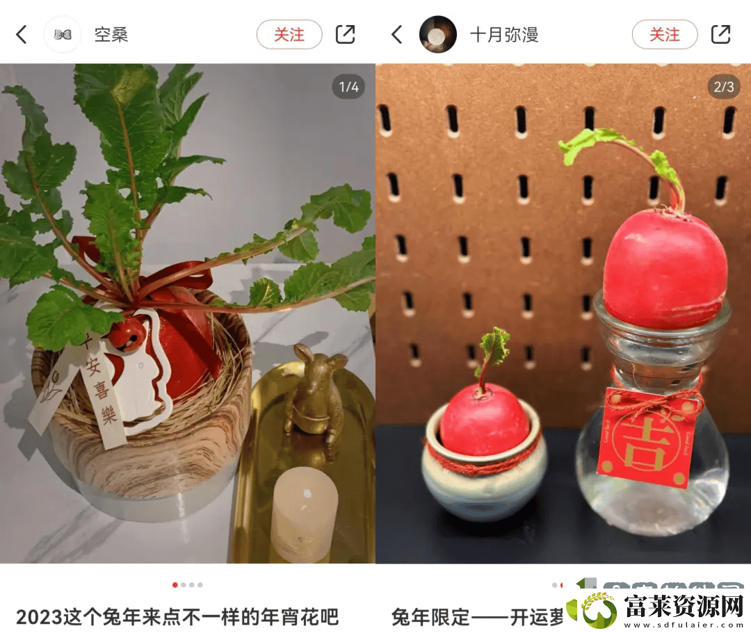 00后新潮流