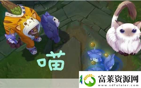 喵星人密室大冒险