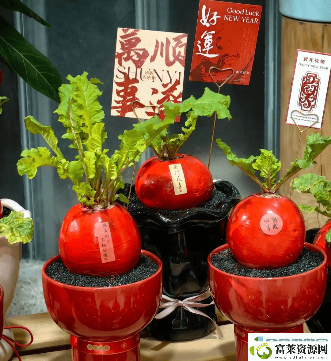 00后新潮流