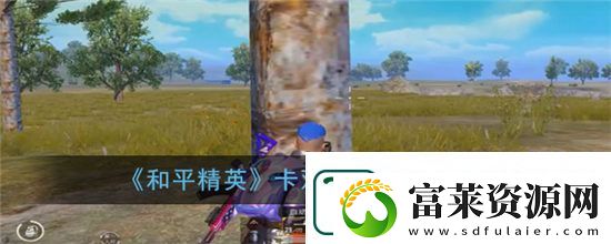 和平精英双弹夹bug怎么卡
