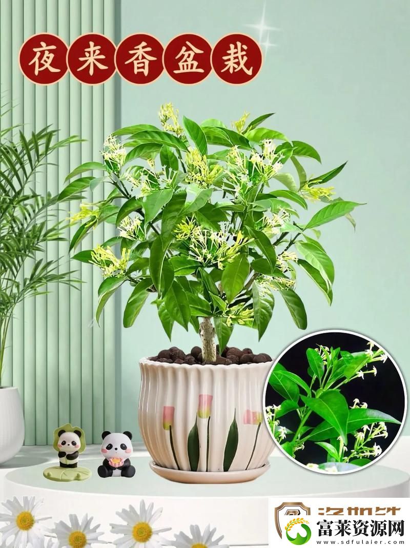 冻原有哪些植物