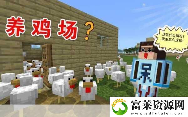 我的世界养鸡秘籍