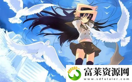 无人区码卡二卡三卡的区别