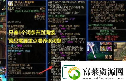 dnf装备怎么喂养
