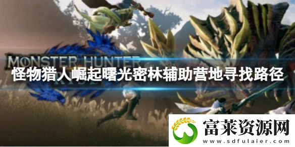 怪物猎人崛起曙光密林辅助营地怎么去