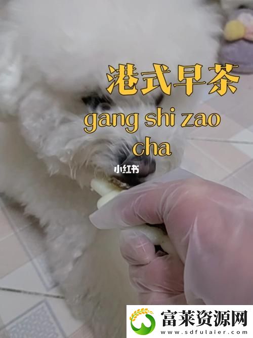 深入探讨“美国人与动物胶配方有几种”的不同类型与应用软件教程玩法