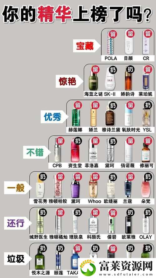 深入探讨精华区二区区别及其影响