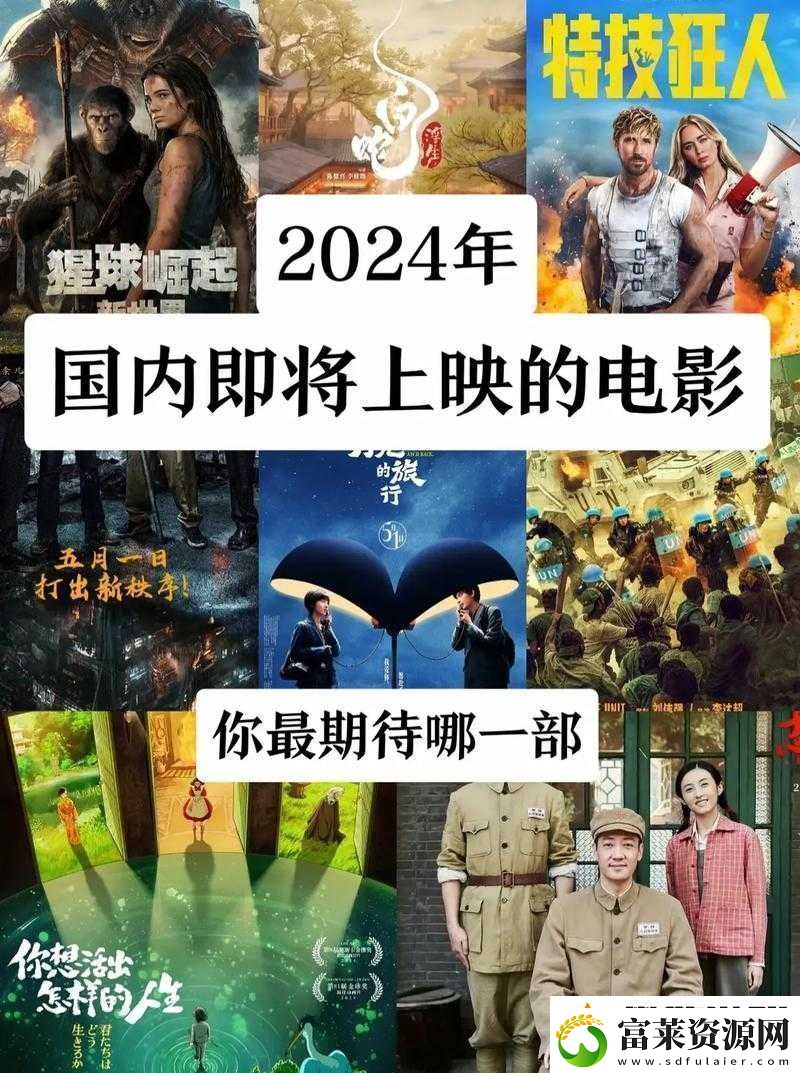 最好看的2024国语字幕电影之精彩不容错过系列推荐软件教程玩法