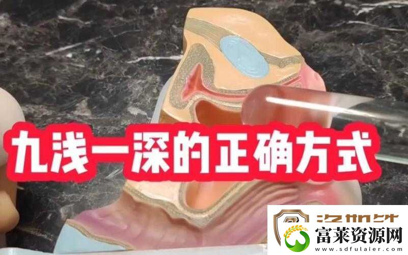 九浅一深与左三右三如何搭配的实用指南