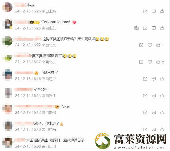 玩家安慰黑神话
