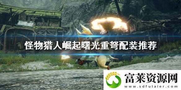怪物猎人崛起重弩怎么玩