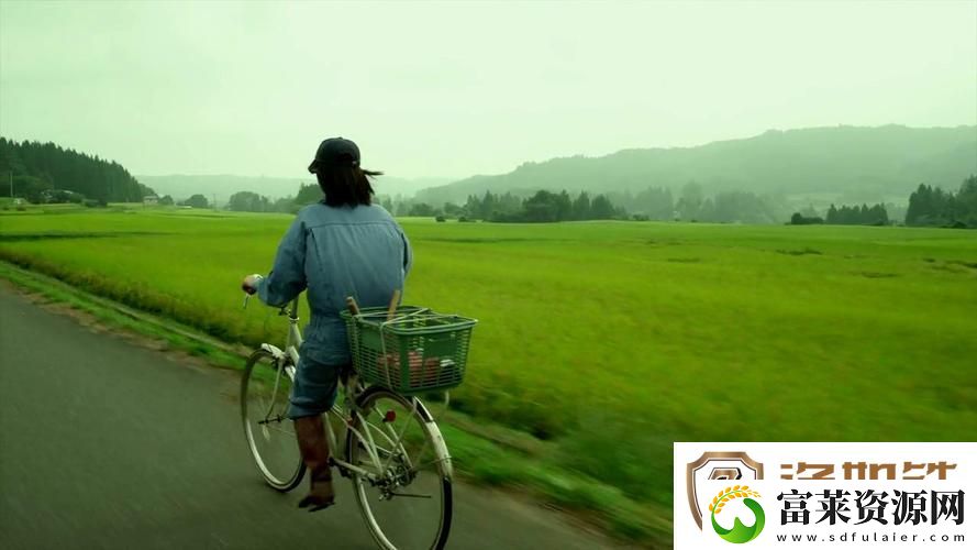 探密绿意盎然