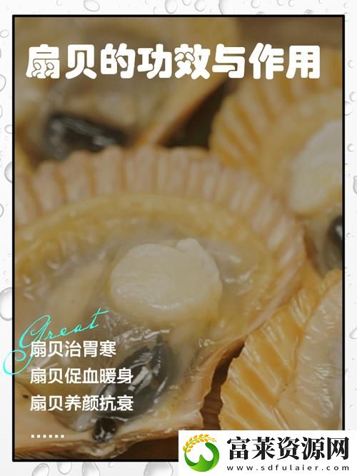 精彩纷呈宝贝你的扇贝开了