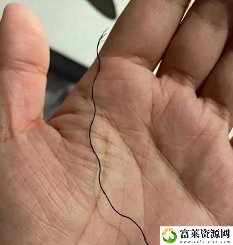 内容丰富有一根又黑又硬的