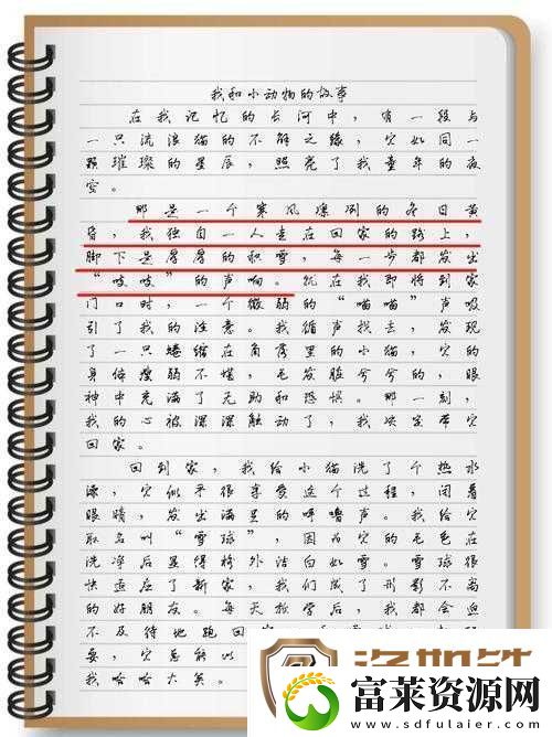 老李和儿媳妇的生活点滴
