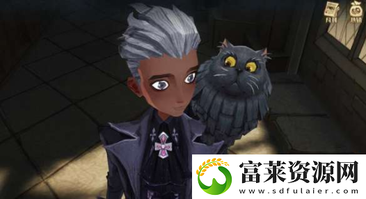 哈利波特魔法觉醒魔咒互换冷却时间是多久