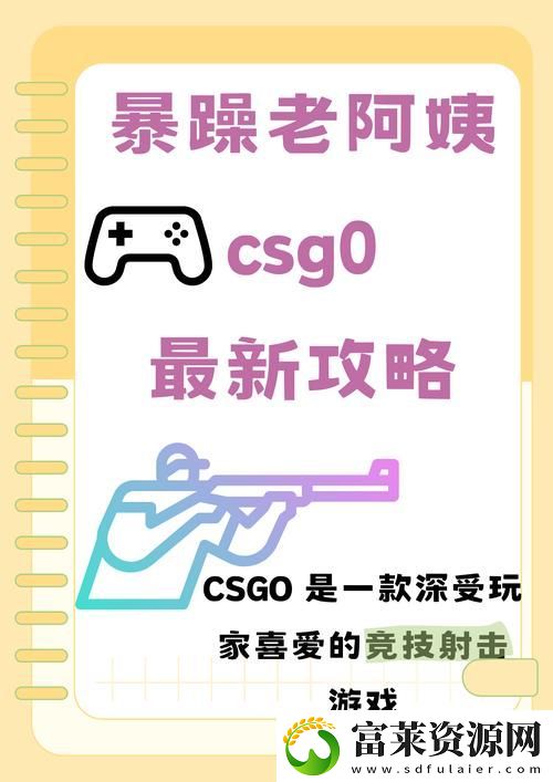 内容丰富的暴躁老阿姨的CS