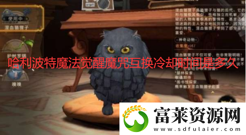 哈利波特魔法觉醒魔咒互换冷却时间是多久