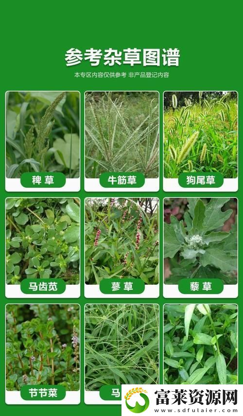 探索嫩草精产一二三产区的独特魅力与发展潜力