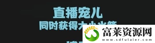 我独自生活全成就攻略
