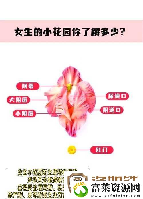 小花园想夹东西怎么办