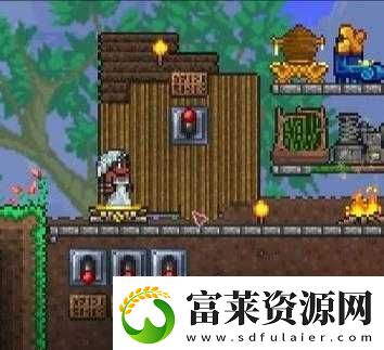 泰拉瑞亚