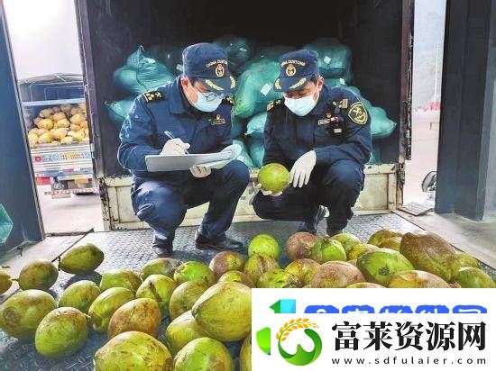 天保海关