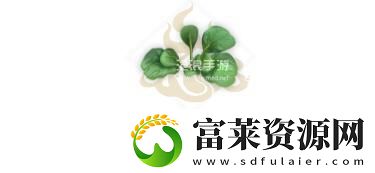 妄想山海塌棵菜幼苗配方介绍