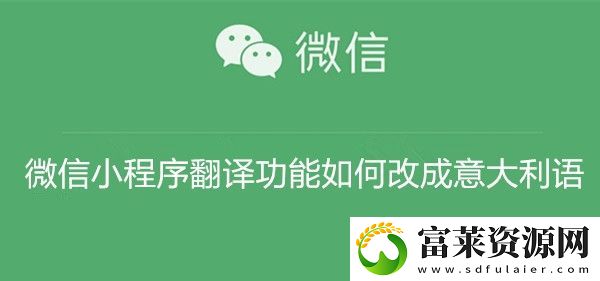 微信小程序翻译功能如何改成意大利语