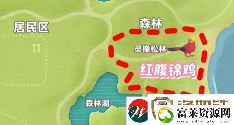 心动小镇新春季第3周4只鸟位置
