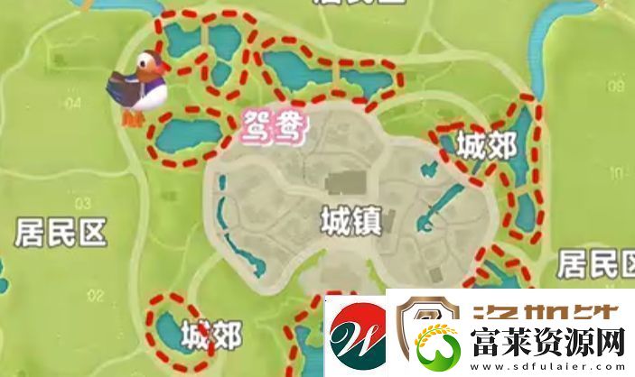 心动小镇新春季第3周4只鸟位置