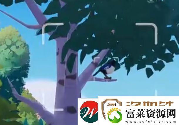 心动小镇新春季第3周4只鸟位置
