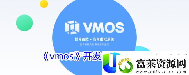 vmos开发者选项位置