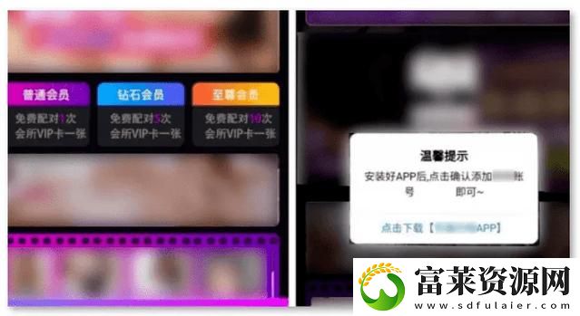 探索精彩内容