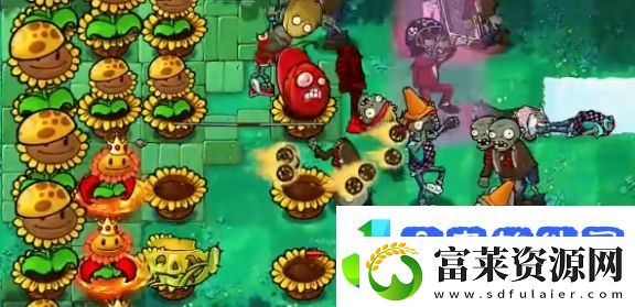 植物大战僵尸杂交版挑战模式第35关怎么通关