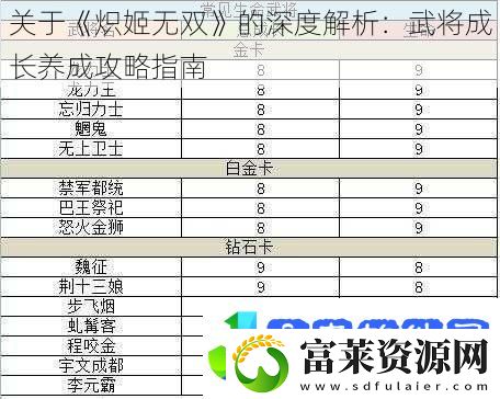 关于炽姬无双的深度解析