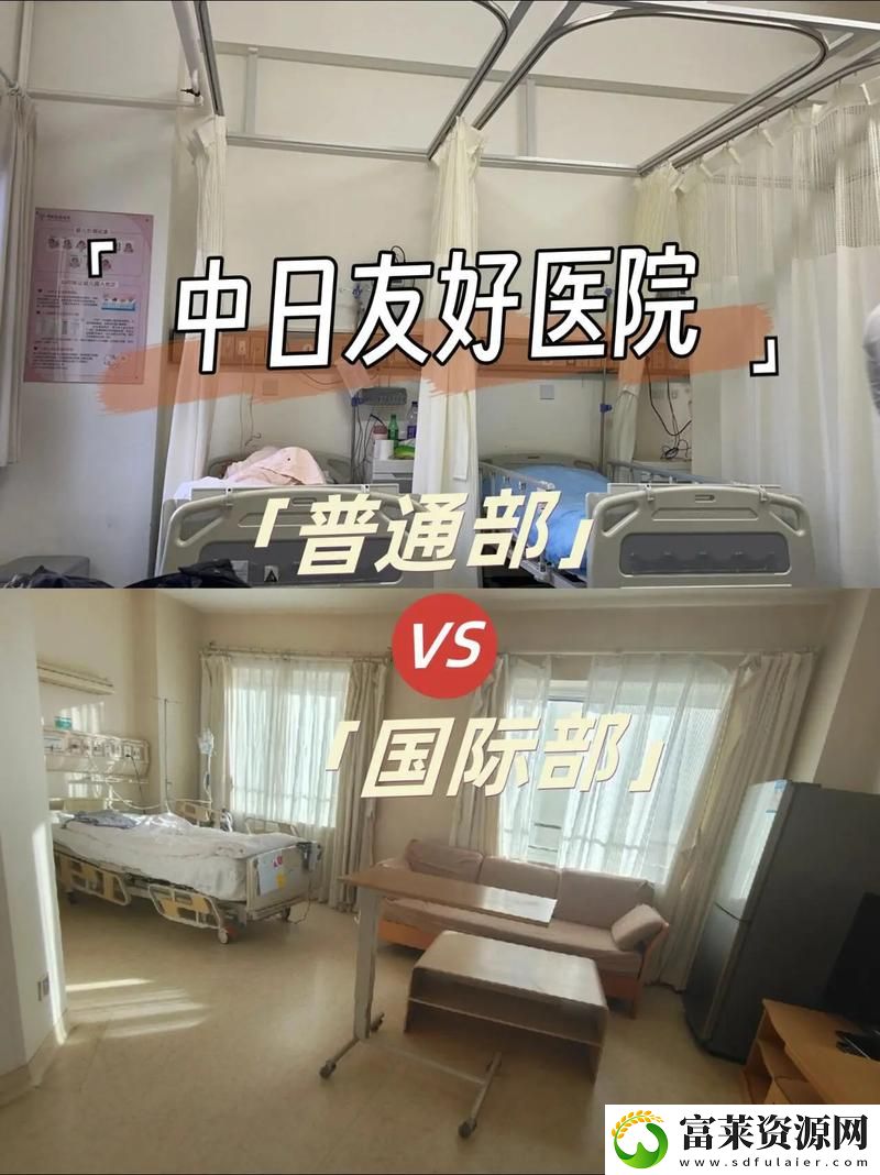日本医疗体系